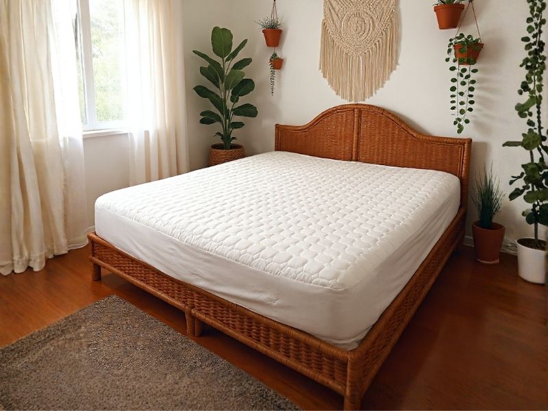 Mattress Protector  -  Standard